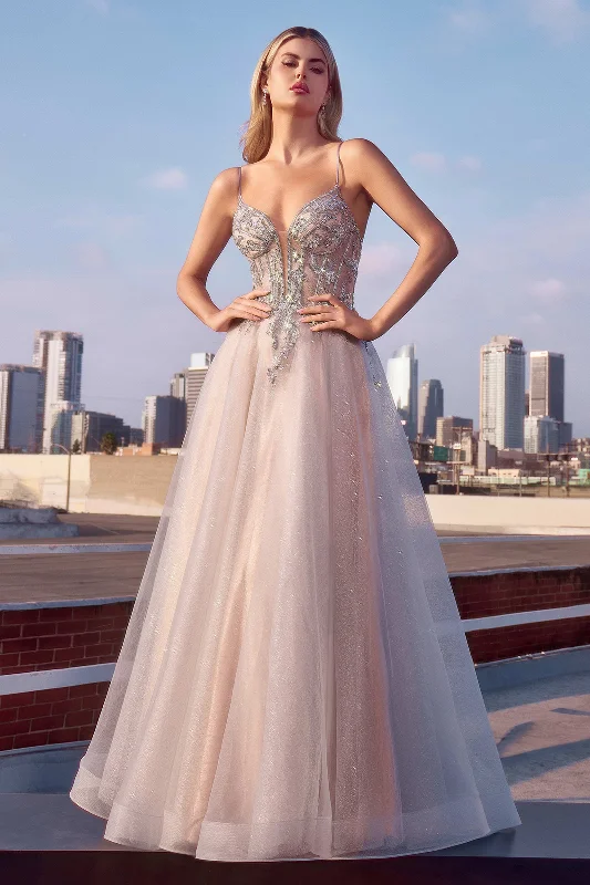 Formal Dress for Corporate AwardsApplique Sleeveless Tulle Gown by Ladivine CC0881